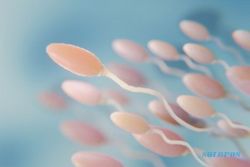 Cara Membedakan Sperma Subur dan Tidak
