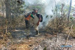 Tim Gabungan Sisir Bekas Kebakaran Gunung Merbabu di Boyolali, Ini Temuannya