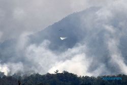 Kebakaran Gunung Lawu Belum Padam, Tempat Wisata Alam di Ngawi Diminta Waspada