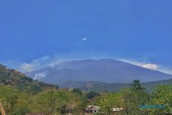 Pemkab Ngawi & Perhutani Berbeda soal Data Luas Lahan Terdampak Kebakaran Lawu