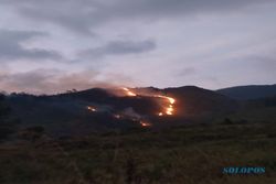 Kebakaran Landa Gunung Ungaran, Titik Api Berasal dari Kawasan Gedong Songo