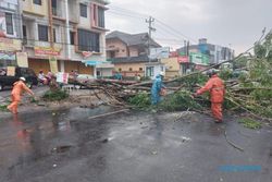 Hujan dan Angin Kencang di Karanganyar, Pohon Tumbang Atap Rusak