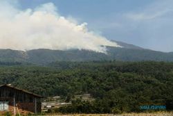 Sempat Padam, Kebakaran Hutan dan Lahan Kembali Membara di Gunung Lawu