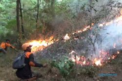 Kebakaran Hutan di Gunung Lawu Meluas, Kini Api Menjalar ke Wilayah Magetan