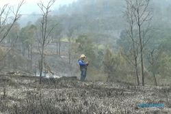 Begini Kondisi Lahan & Hutan di Gunung Lawu Setelah Terbakar