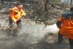 Kebakaran Gunung Merbabu Hanguskan Lahan Seluas 489 Hektare di 3 Kabupaten