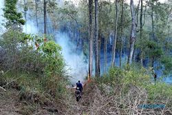 Breaking News! Lereng Gunung Merbabu Kebakaran, Ratusan Relawan Diterjunkan