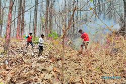 Sedih! Total 160 Hektare Hutan Perhutani Terbakar selama Kemarau di Klaten