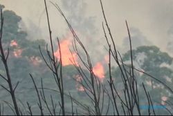 Kebakaran Hutan di Gunung Lawu Belum Padam, Water Bombing Bakal Dikerahkan