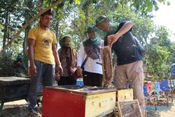 Kisah Sukses Petani Muda Klaten Raup Cuan dari Manisnya Lebah Madu Eropa