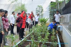 Resmikan Urban Farming di Sekolah Nusaputera, Mbak Ita Bangga Inovasi Pemuda