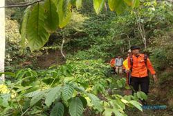 Sudah 4 Hari, Pencari Kopi Luak Hilang di Lereng Gunung Ungaran