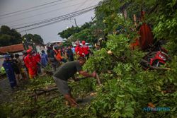 Hujan Deras dan Angin Kencang Landa Solo, Pohon Tumbang di Belasan Lokasi