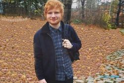 Harga Tiket Konser Ed Sheeran di Jakarta 2024, Paling Murah Rp900.000