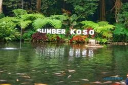 Sejuknya Wisata Alam Sumber Koso di Ngawi, Tiket Masuk Cuma Rp10.000