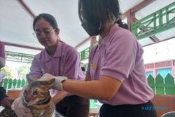 Hari Rabies Sedunia, Hampir 100 Anjing dan Kucing di Klaten Divaksinasi Rabies
