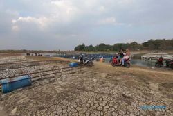Debit Air Waduk Mulur Menyusut Drastis, Petani Ikan Sukoharjo Resah