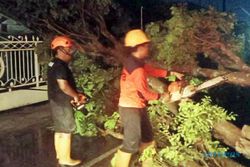 Angin Kencang Terjang Sragen, 28 Pohon Tumbang, 9 Rumah dan Sekolah Rusak