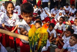 Keseruan Siswa Mengenal Burung Sun Conure Bareng Komunitas Soloraya Free Fly