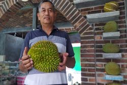 Musim Durian di Jateng Tiba, Pembelian Varian Bawor dan Kholil Sampai Inden