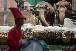 Tarif Masuk ke Gembira Loka Zoo Naik saat Lebaran 2024, Segini Jadinya
