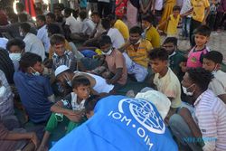Lagi, 241 Pengungsi Rohingya Terdampar di Pidie Aceh