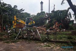 DLH Solo Evakuasi Pohon Beringin Ambruk di Stadion Sriwedari