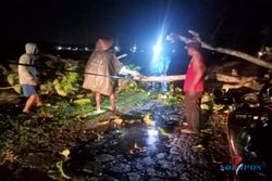 Tertimpa Pohon Tumbang di Gondang Sragen, Pengendara Motor Dilarikan ke RSUD