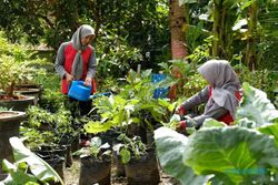 Program "Bumi Kartini" Semen Gresik Sukses Bantu Warga Hasilkan Jutaan Rupiah