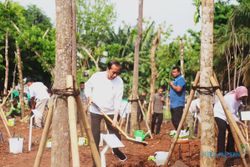 Dihadiri Presiden Jokowi, Astra Dukung Gerakan Tanam Pohon Bersama di DKI