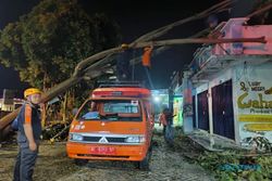 Angin Kencang Terjang 4 Kecamatan di Magetan, Puluhan Pohon Roboh & Rumah Rusak