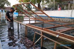 Budi Daya Ikan di Aliran Sungai Pengging Boyolali, Sekali Panen Cuan Rp70 Juta