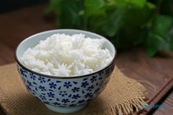 Benarkah Nasi Putih Bikin Gemuk? Ini Faktanya