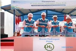 Mampu Produksi Green Hydrogen hingga 199 Ton, Begini Inovasi yang Dilakukan PLN