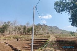 Fasilitasi Sawah Irigasi, PLN Tingkatkan Produktivitas Pertanian di Wonogiri