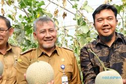 Gapoktan Rahayu Makmur Temanggung Panen Raya Melon