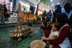 Pameran Kebun Binatang di Mal, Meriahkan 70 Tahun Gembira Loka Zoo Yogyakarta