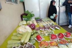 Pengemasan Sayur Aspakusa Makmur Boyolali Jaga Kualitas di Tengah Gejolak Pasar