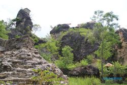 13 Situs Batuan Purba Ditetapkan Geoheritage, Klaten Berpeluang Punya Geopark