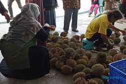 Ide Liburan Akhir Tahun, Mencicipi Legit Manis Durian Gempolan Karanganyar 