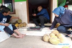 Jadi Buruan Warga, Durian Lokal di Semarang Punya Rasa Khas & Harganya Murah