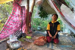 Kisah Pilu Bapak-Anak Tinggal di Tenda Reyot Beralas Tikar di Kebun Jati Klaten