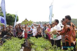 Gandeng UGM, PLN Dukung Pengembangan Kampung Madu di Kedungpoh DIY