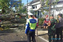 Tragis, 2 Orang Meninggal karena Tertimpa Pohon saat Melintas di Jalanan Malang