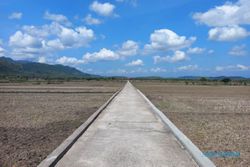 Cantiknya Panorama Sawah Burikan Klaten dengan Latar Perbukitan, Mirip Lukisan