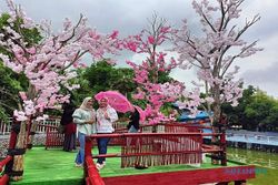 Ada Spot Sakura, Main ke Telaga Kusuma Bikin Serasa di Jepang 