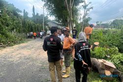 Dua Warga Tertimpa Pohon Tumbang di Jalan Perbatasan Sragen-Karanganyar