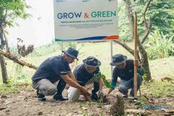 "BRI Menanam Grow & Green" Salurkan 15.000 Tanaman Produktif di Sulawesi