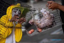 Aksi Simpatik Aktivis Desak Komitmen Peternakan Ayam Petelur Bebas Sangkar