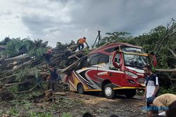 Pohon Beringin Besar Ambruk Timpa Minibus di Jalan Wonogiri-Ngadirojo